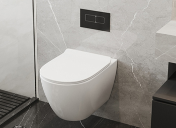 Concealed Toilets