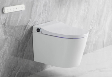 Wall-Hung Toilets: A Complete Guide